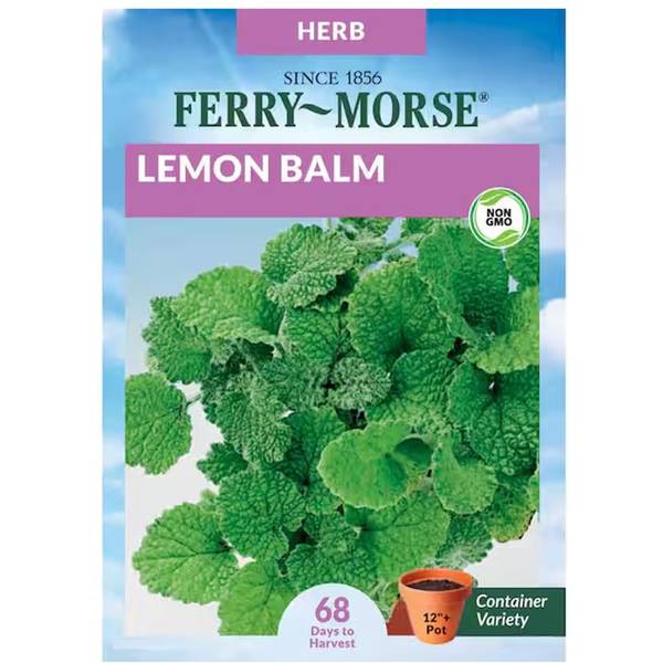 Photo of Organic Lemon Balm
