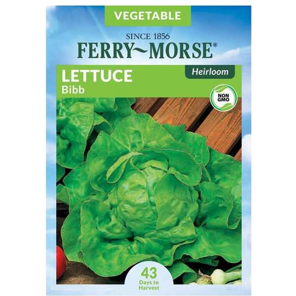 Photo of Organic Bibb Heirloom Lettuce
