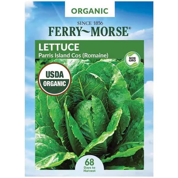 Photo of Organic Parris Island Lettuce
