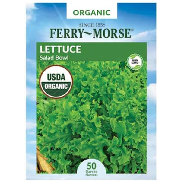 Photo of Organic Salad Bowl Lettuce