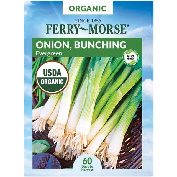 Photo of Organic Evergreen Bunching Onion