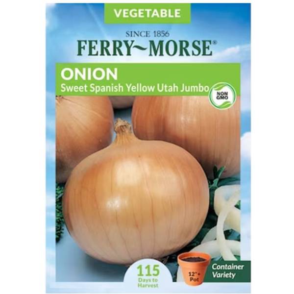 Photo of Organic Sweet Spanish Yellow Jumbo Onion