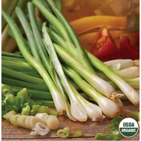 Photo of Organic White Lisbon Bunching Onion