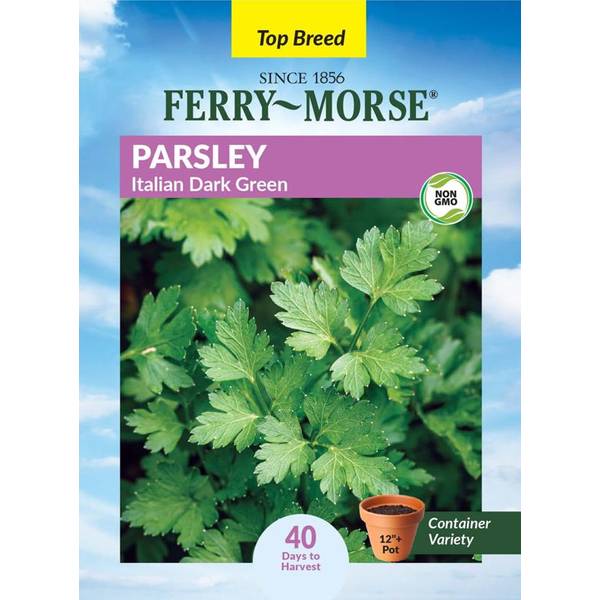 Photo of Organic Italian Dark Green Parsley