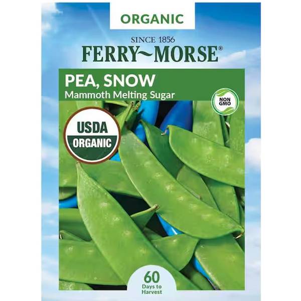 Photo of Organic Mammoth Melting Sugar Pea