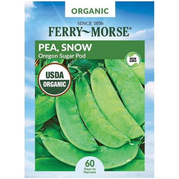 Photo of Organic Oregon Sugar Pea