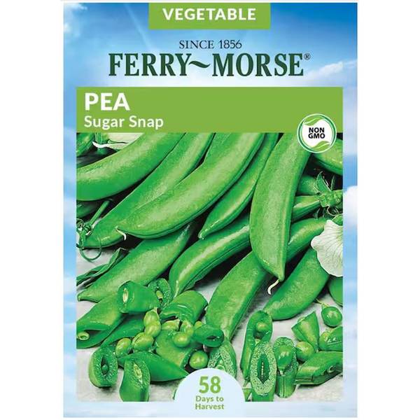 Photo of Organic Sugar Snap Pea