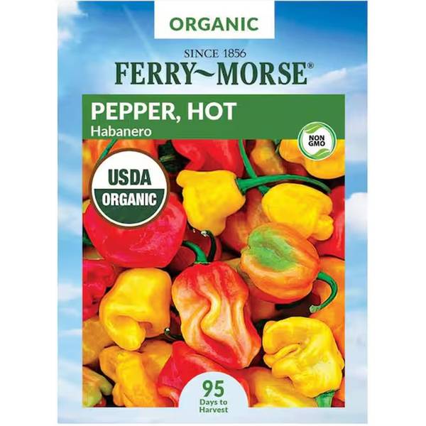 Photo of Organic Habanero Pepper