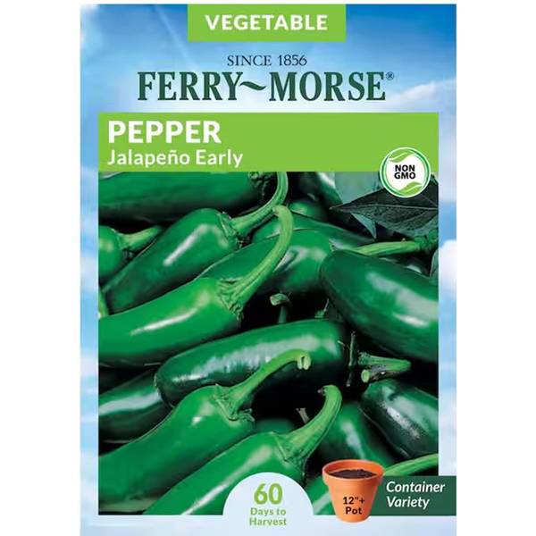 Photo of Organic Early Jalapeno Pepper