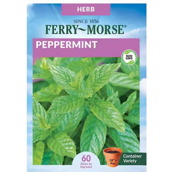 Photo of Organic Peppermint