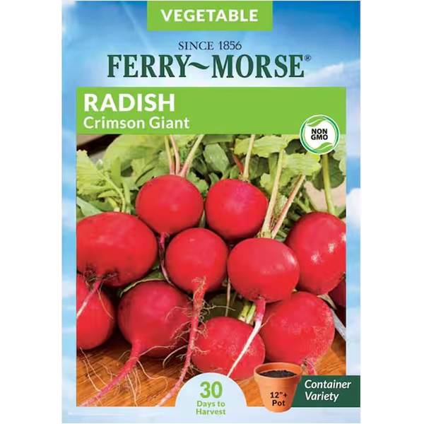 Photo of Organic Crimson Giant Radish