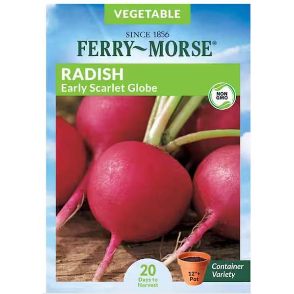 Photo of Organic Early Scarlet Globe Radish