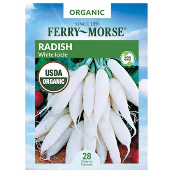 Photo of Organic Icicle Short Top Radish