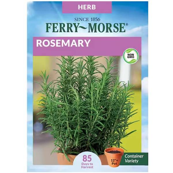 Photo of Organic Rosemary