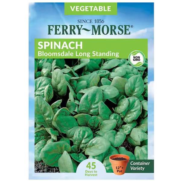 Photo of Organic Bloomsdale Long Standing Spinach