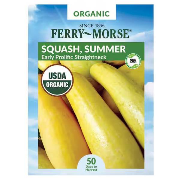 Photo of Organic Early Prolific Heirloom Squash