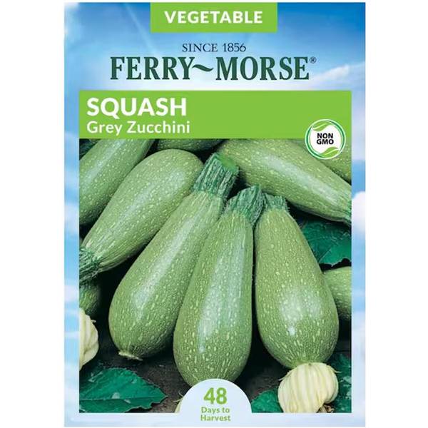 Photo of Organic Grey Zucchini Squash