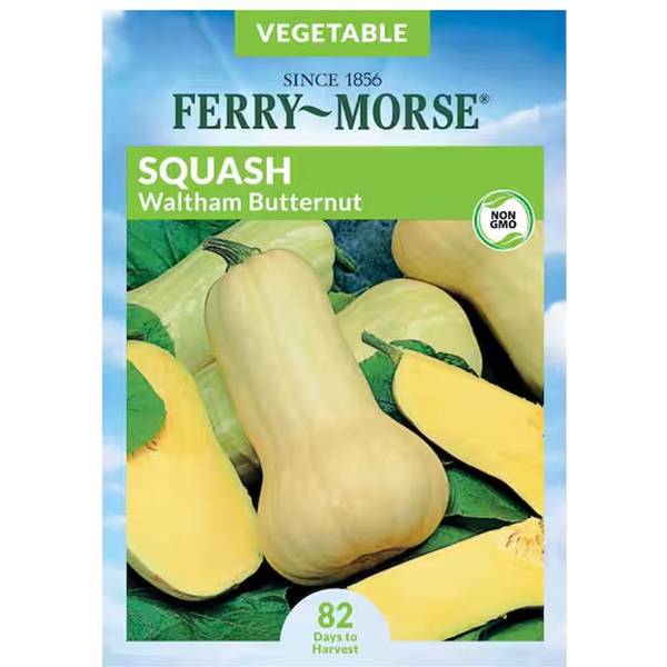 Photo of Organic Waltham Butternut Squash