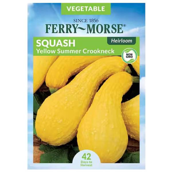 Photo of Organic Yellow Crookneck Heirloom Squash