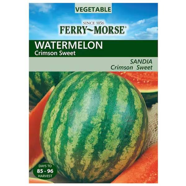 Photo of Organic Crimson Sweet Watermelon