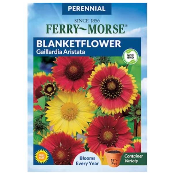 Photo of Blanketflower