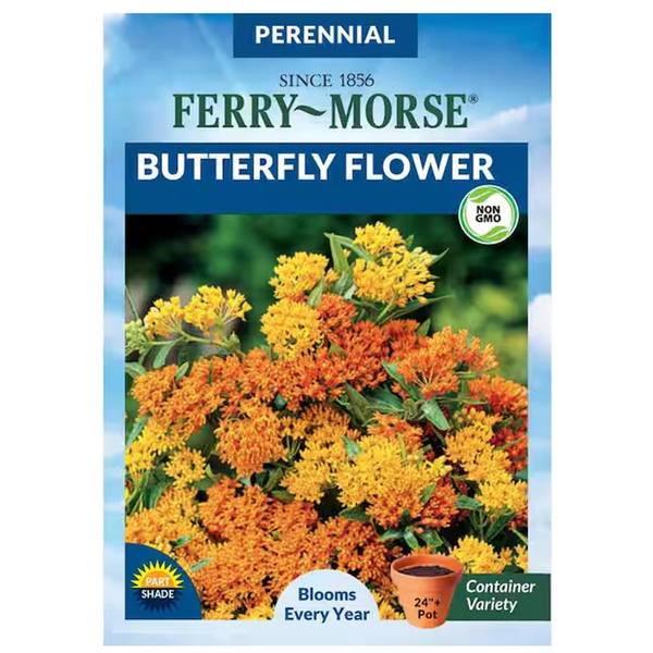 Photo of Butterfly Flower