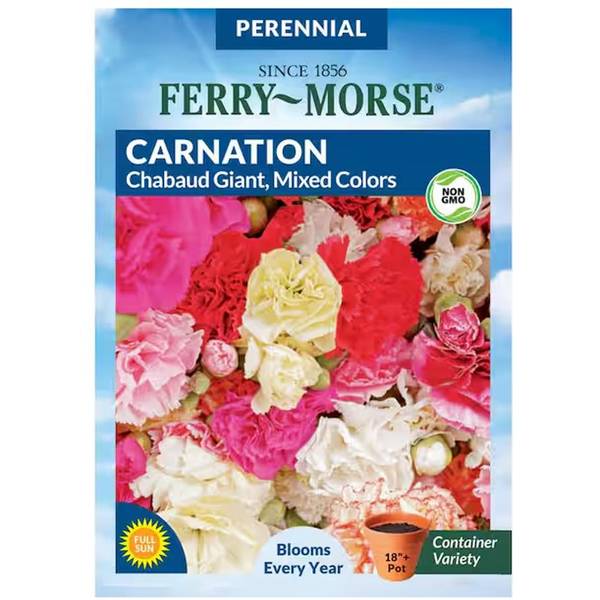 Photo of Chabaud Giant Mixed Colors Carnation