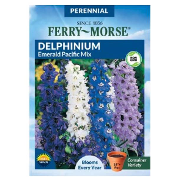 Photo of Emerald Pacific Mix Delphinium