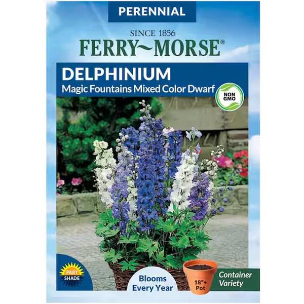 Photo of Magic Fountains Mixed Color Dwarf Delphinium