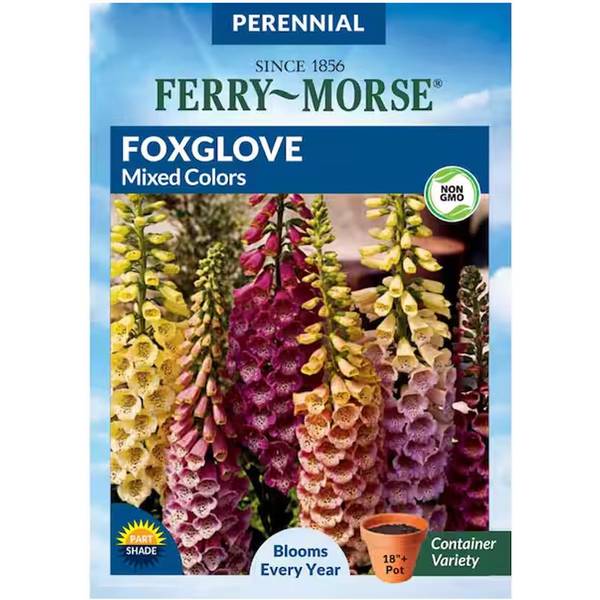 Photo of Mixed Colors Foxglove