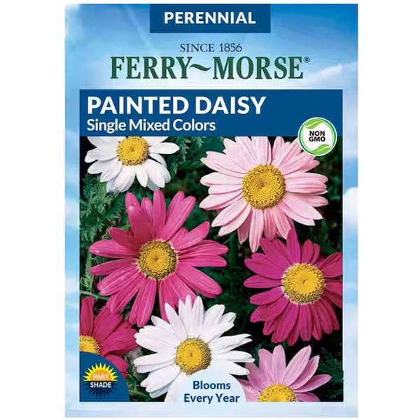 Photo of Single Mixed Colors Painted Daisy