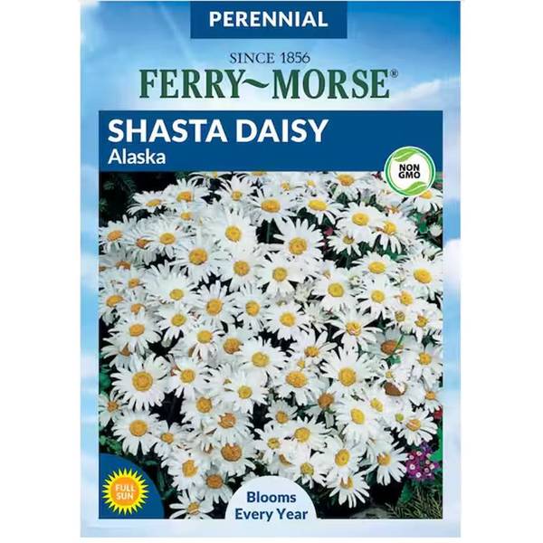 Photo of Daisy Alaska Shasta