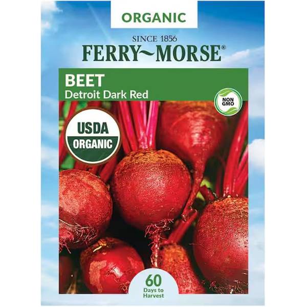 Photo of Detroit Dark Red Beet