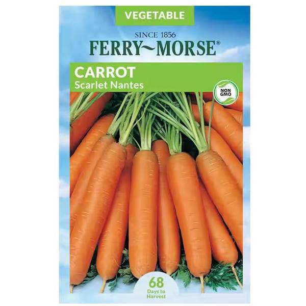 Photo of Nantes Coreless Carrot