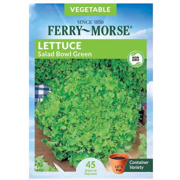 Photo of Salad Bowl Lettuce