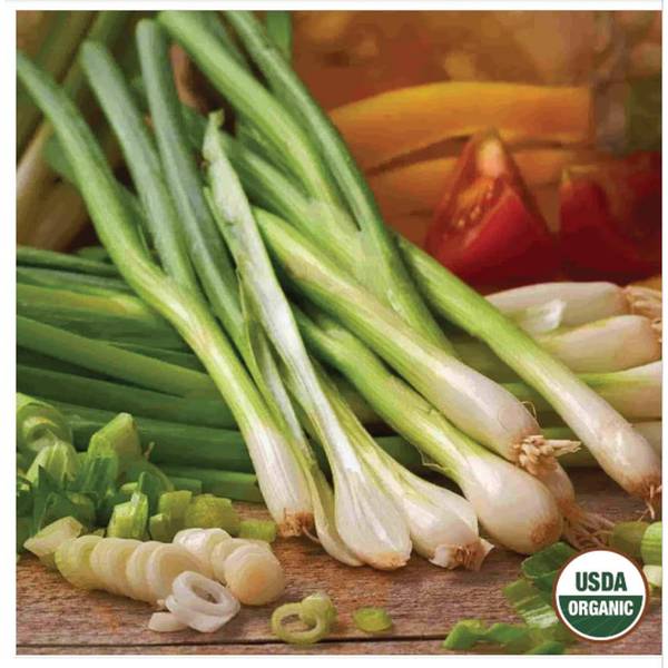 Photo of White Lisbon Bunching Onion