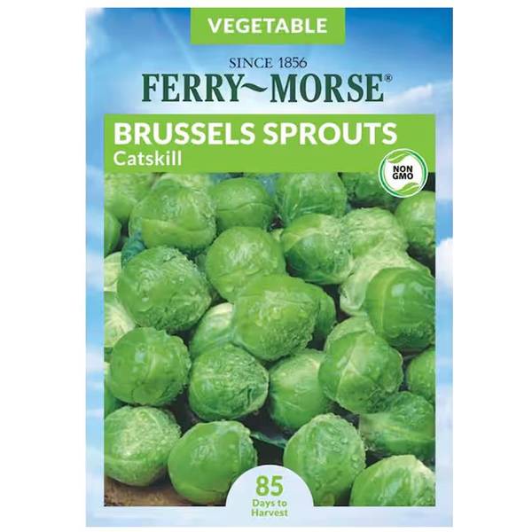 Photo of Sprouts Catskill Brussels