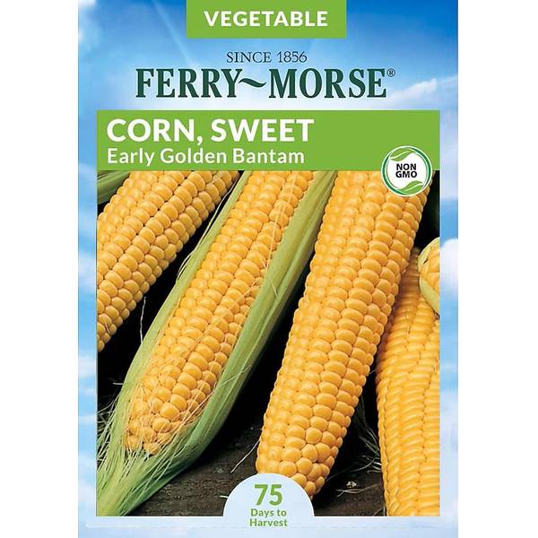 Photo of Early Golden Bantam Sweet Corn