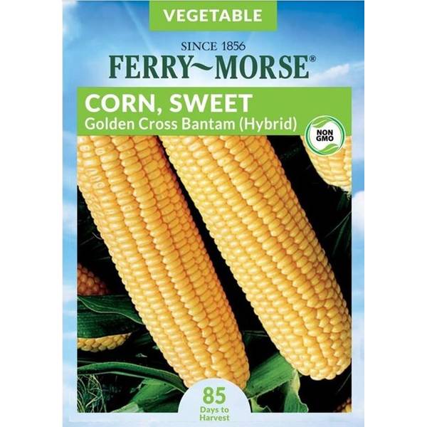 Photo of Golden Cross Bantam Hybrid Sweet Corn
