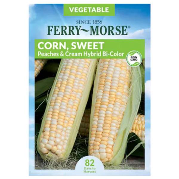 Photo of Peach Cream Hybrid Bi-Color Sweet Corn