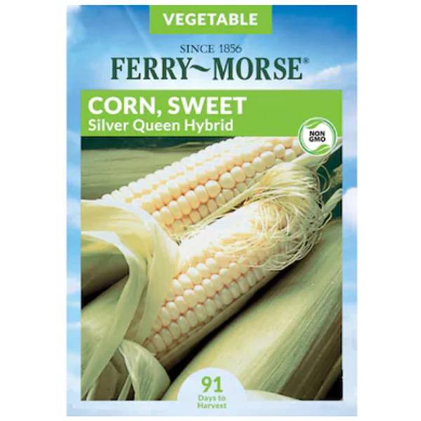 Photo of Silver Queen Hybrid Sweet Corn