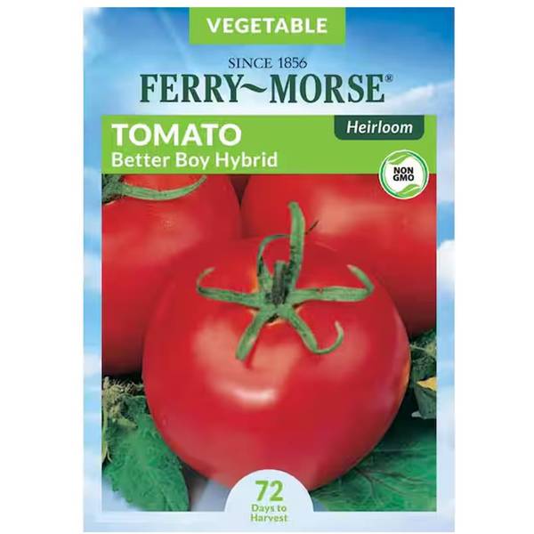 Photo of Better Boy Hybrid Tomato