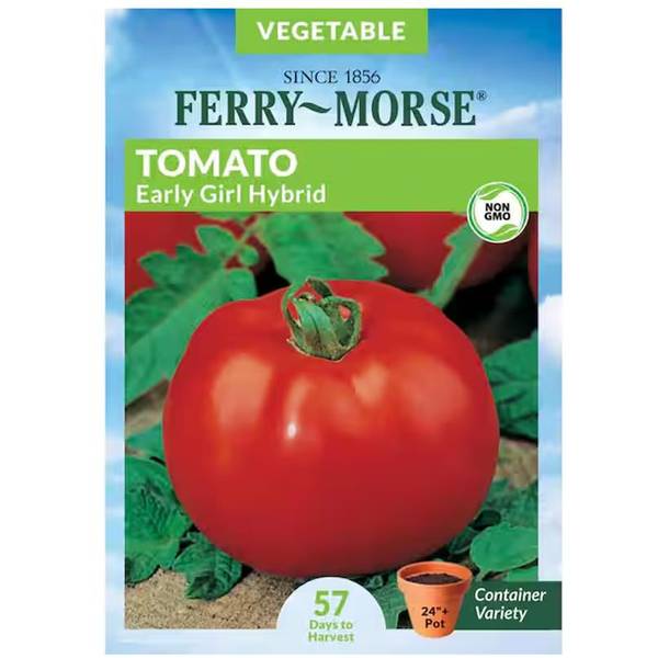 Photo of Early Girl Hybrid Pelleted Tomato