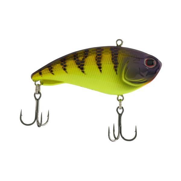 Photo of Jack Knock Out