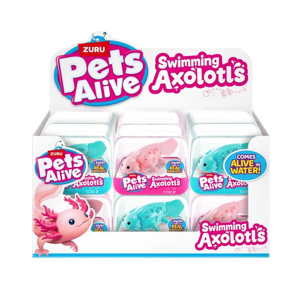 Photo of Swimming Axolotls