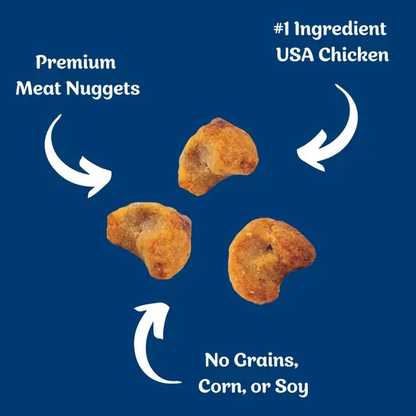 Blue Dog Bakery Protein Nuggets, Chicken and Apple, 6 oz, USA