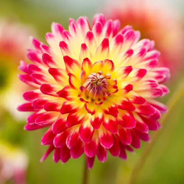 1587487-2.webp