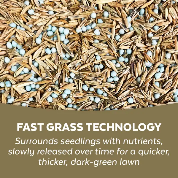 Mountain View Seeds 6 lb MVS Fast Grass Lawn Mix - I116735