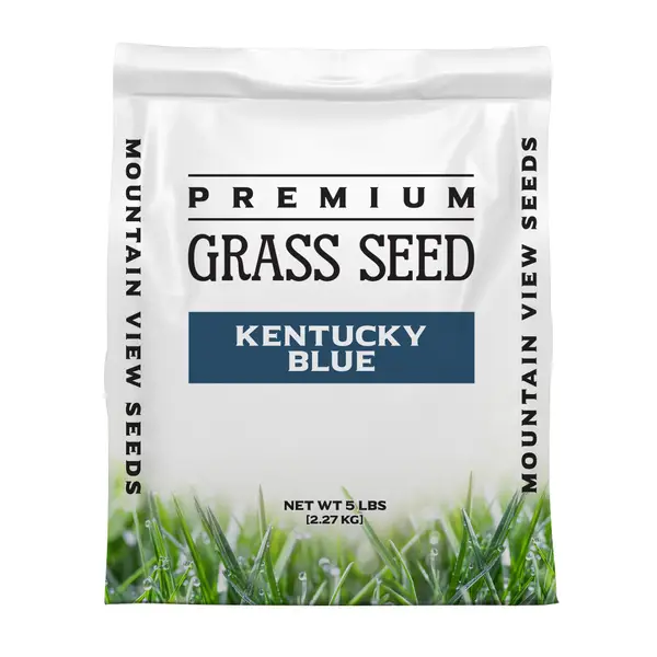 Mountain View Seeds Bluegrass grass mix 5LB - I116705 | Blain's