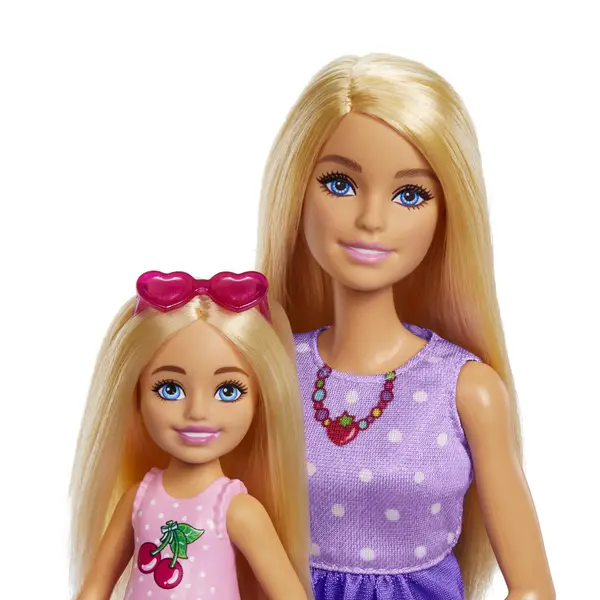 Barbie 2-Pack Family and Friends Doll - JBF43 | Blain's Farm & Fleet